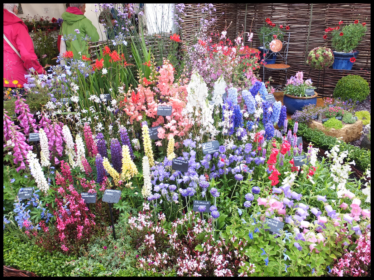 First - Mervyn Burkill